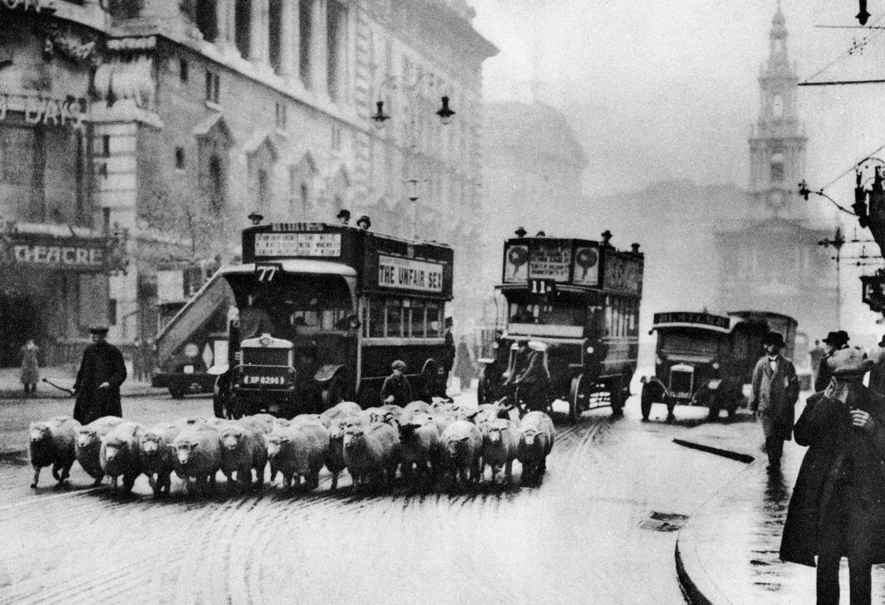 Lammaslauma Strandilla Lontoossa, 1926-1927 tekijältä Unbekannt