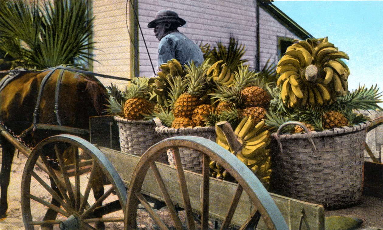 Hedelmäkauppias, Taboga Island, Panama, 1900-luvun alku tekijältä Unbekannt