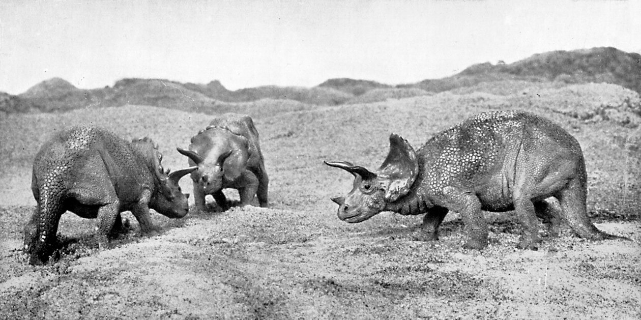 Ryhmä triceratopsia, 1900-luku tekijältä Unbekannt