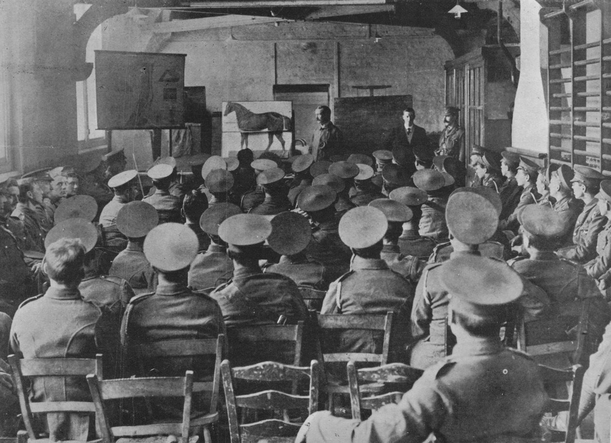 Luento hevosen anatomiasta, 1915 tekijältä Unbekannt