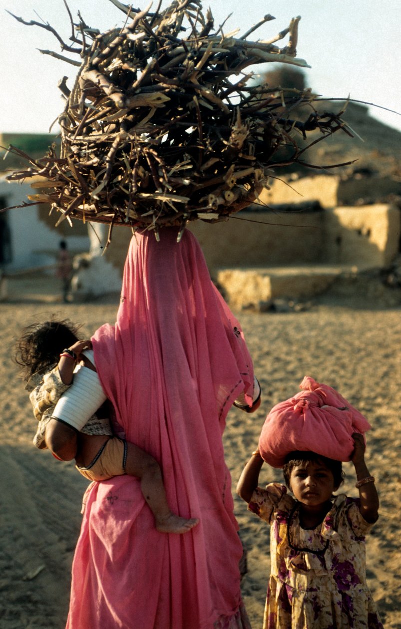 Paikallinen puunleikkausperhe kylästä Rajasthanissa. Rajasthan, Intia. 25. helmikuuta 2005. (kuva) tekijältä Unbekannt