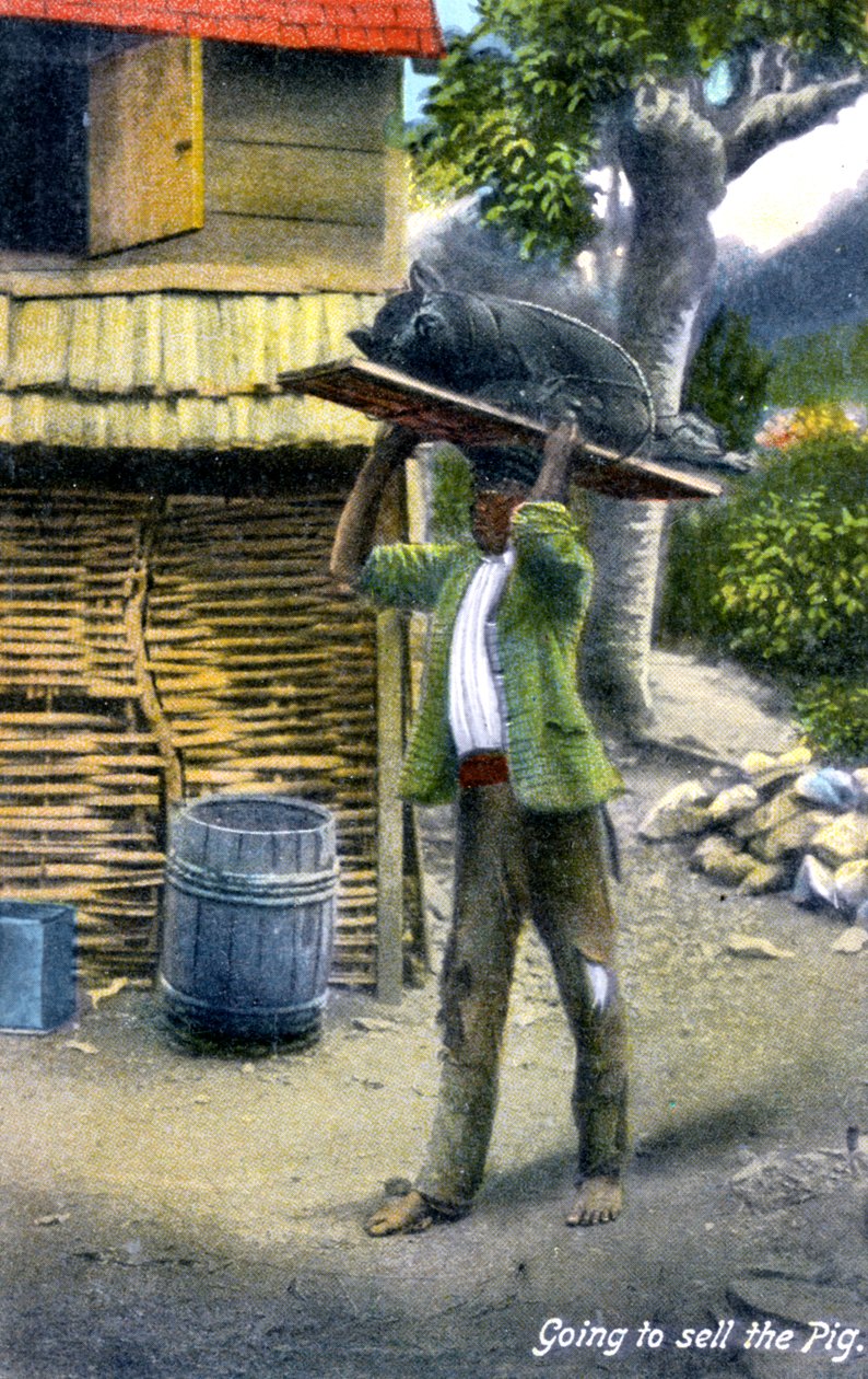 Mies matkalla torille myymään sikaa, Jamaika, 1900-luku tekijältä Unbekannt
