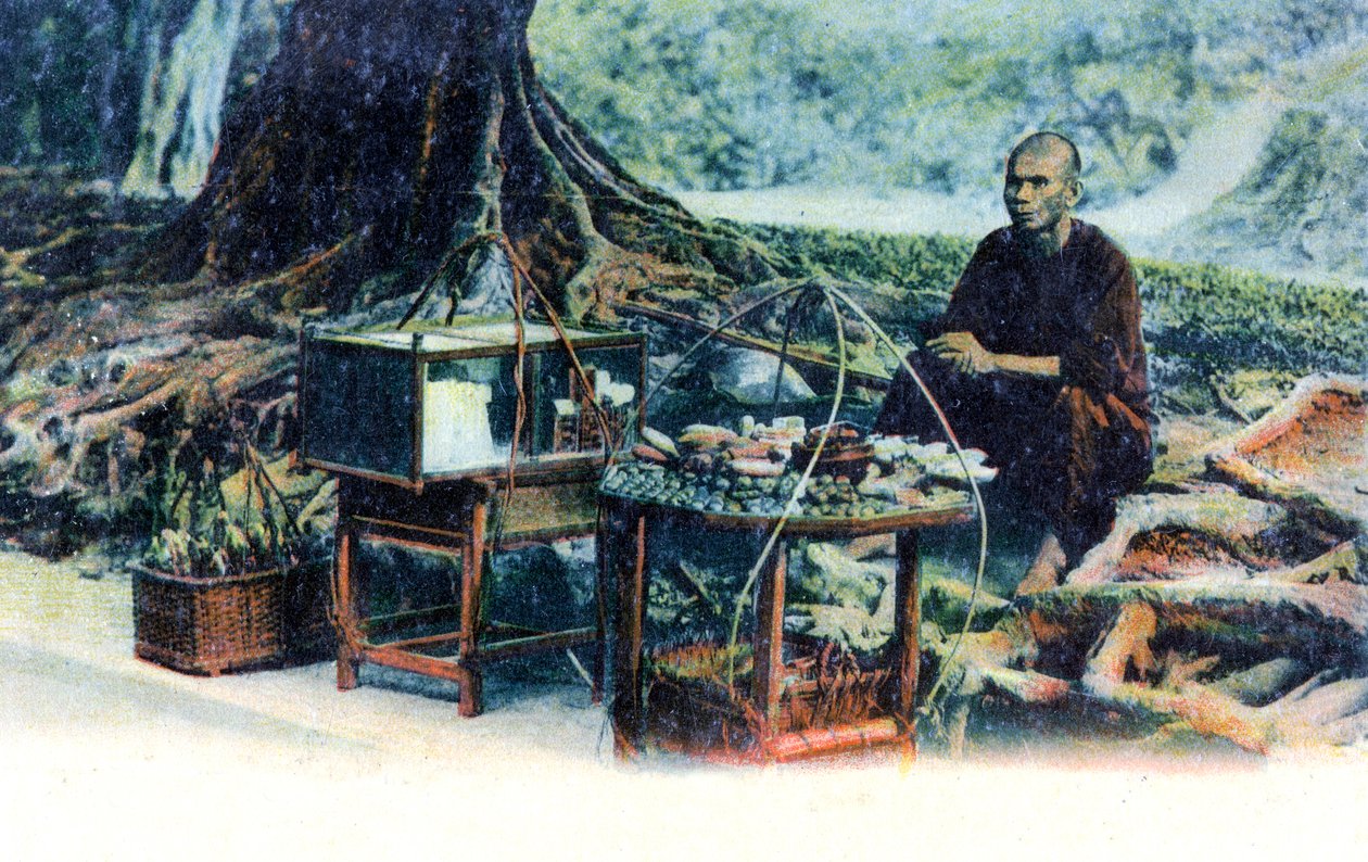 Mies myy hedelmiä puun alla, Hong Kong, Kiina, 1900-luku tekijältä Unbekannt