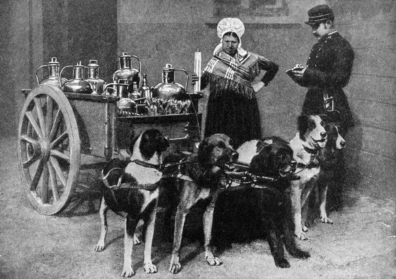 Maitonainen hallituksen tarkastajan kanssa, Belgia, 1922 tekijältä Unbekannt