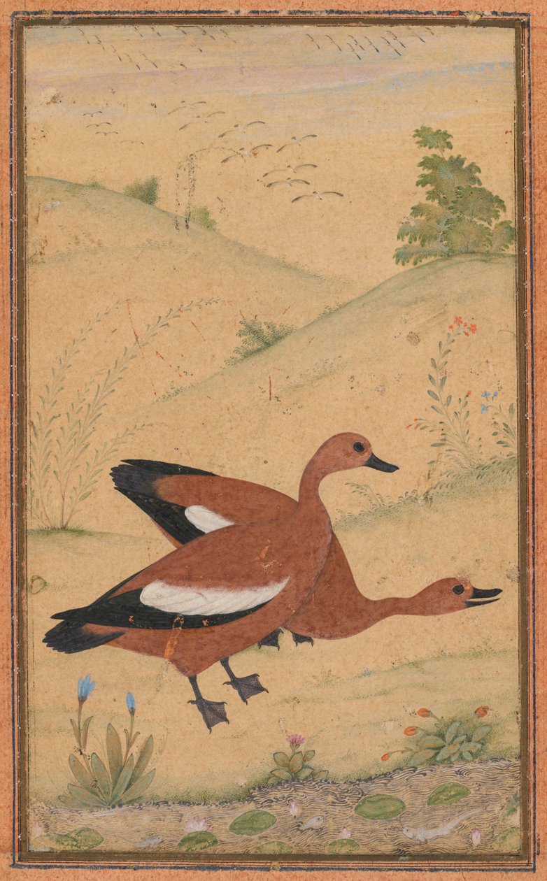 Brahminy-ankkapari, n. 1595, reunat lisätty luultavasti 1800-luvulta. tekijältä Unbekannt