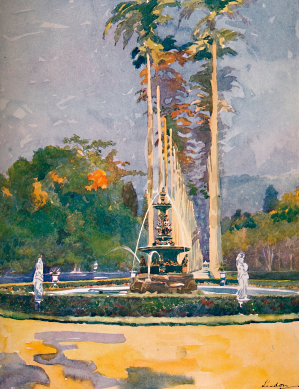 Osa Avenue of Royal Palmsista, kasvitieteellinen puutarha, 1914 tekijältä Unbekannt