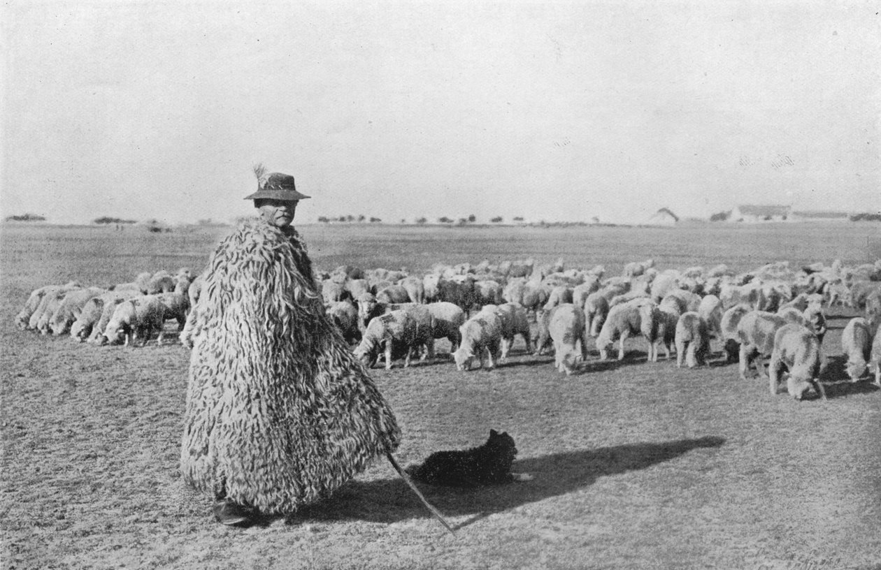 Tyypillinen paimen ja hänen laumansa Unkarin tasangoilla, 1915 tekijältä Unbekannt