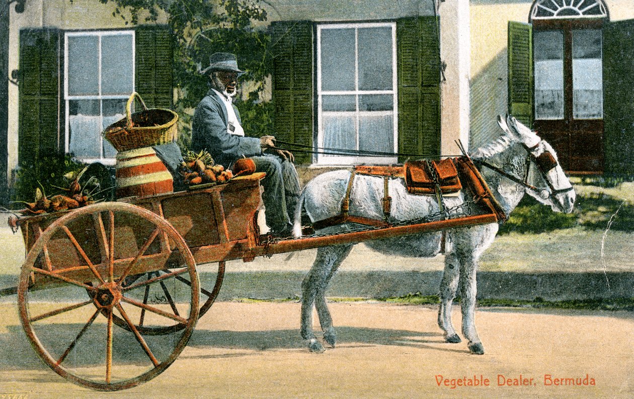 Vihanneskauppias, Bermuda, 1900-luku tekijältä Unbekannt