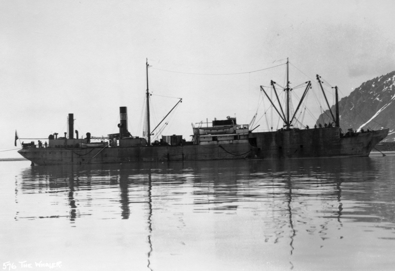 Valaanpyytäjä, Magdalene Bay, Huippuvuoret, Norja, 1929 tekijältä Unbekannt