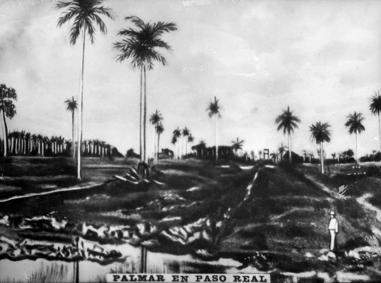 Accion of PasoReal, 1896, 1920-luku tekijältä Unbekannt