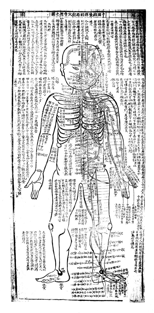 Akupunktiokartta vartalon etupuolelle, japanilainen, 1800-luku tekijältä Unbekannt