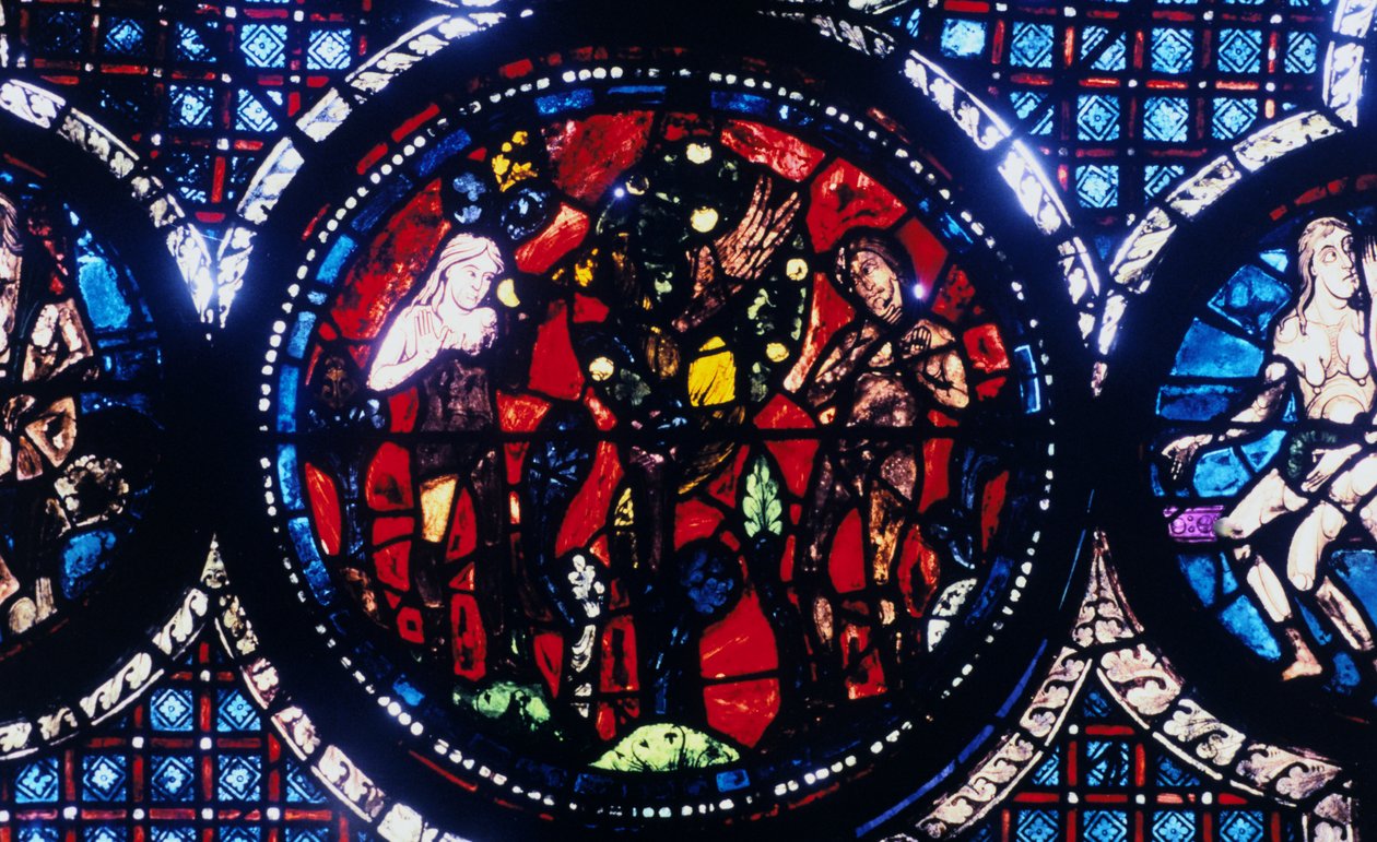 Adam ja Eeva Ihmisen lankeemus, lasimaalaus, Chartresin katedraali, Ranska, 1194-1260 tekijältä Unbekannt
