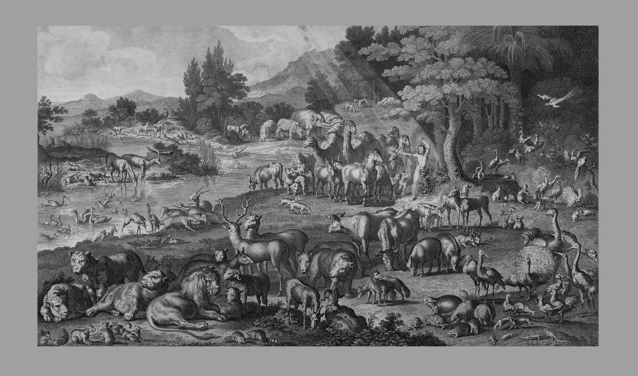 Adam nimeää luomakunnan, 1818. tekijältä Unbekannt