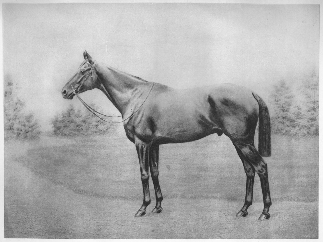 Amiraali Togo III, 1911 tekijältä Unbekannt