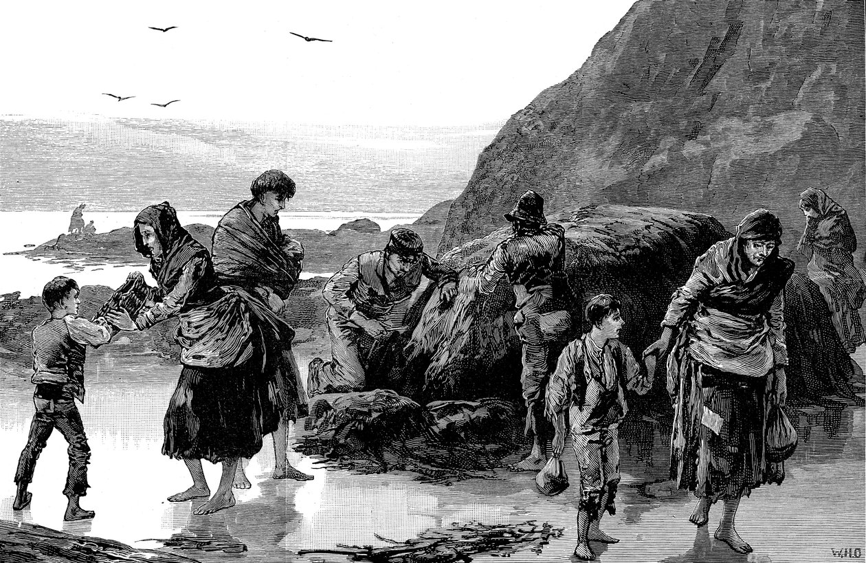 Nälänhädän jälkiseuraukset, Irlanti 1840-luku, 1886 tekijältä Unbekannt