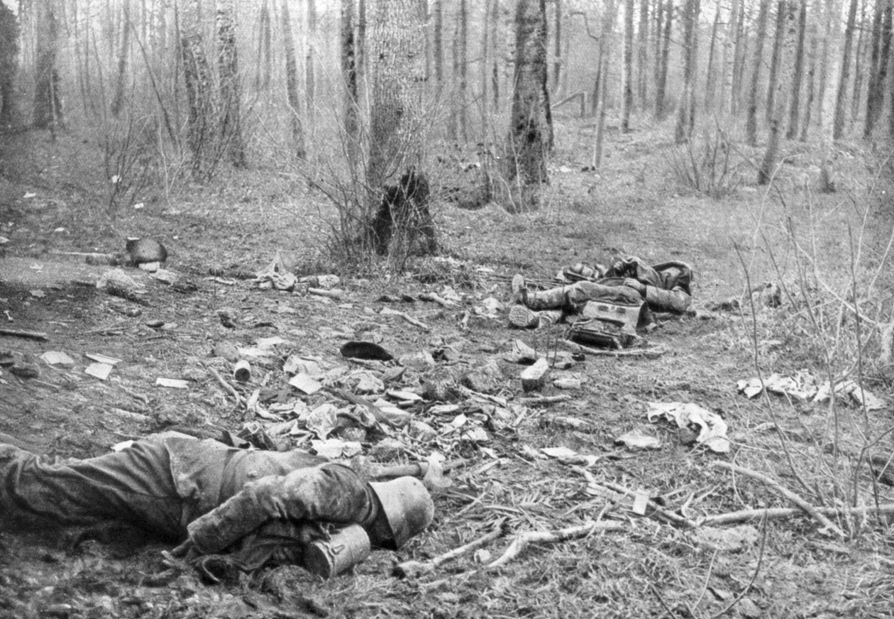 Taistelujen jälkimainingit Plessis-de-Royen puistossa, Picardy, Ranska, 30. maaliskuuta 1918 tekijältä Unbekannt