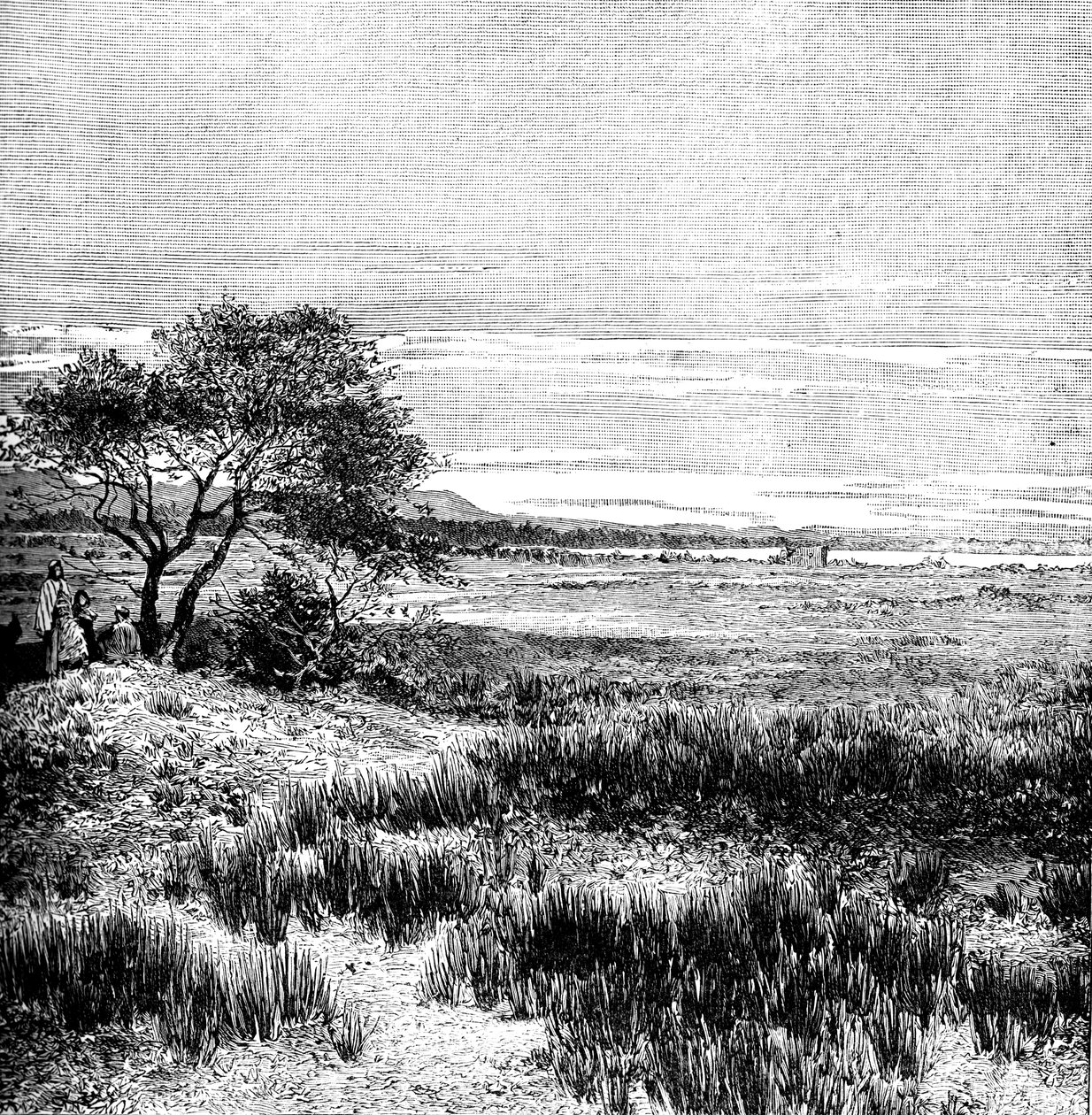 Agha Valley, Keski-Pampa, Argentiina, 1895 tekijältä Unbekannt