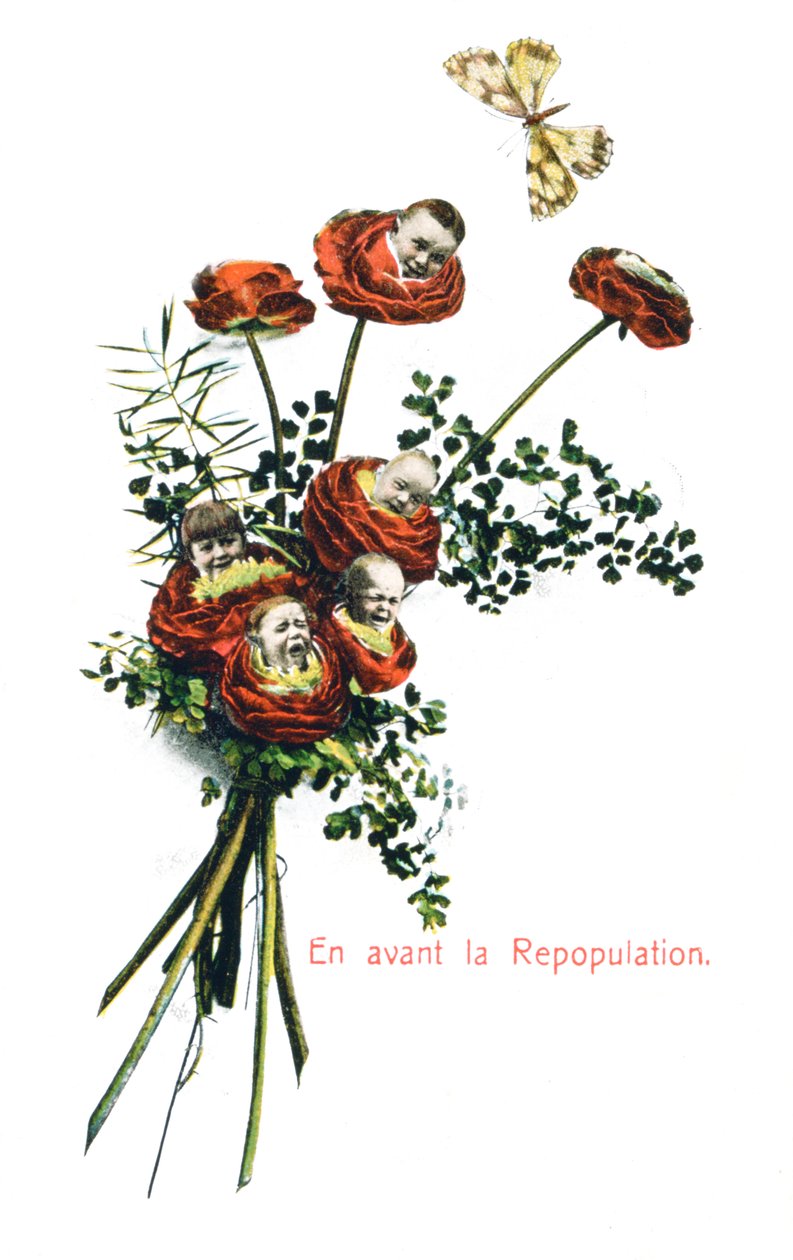Ahead Repopulation, ranskalainen postikortti, c1900 tekijältä Unbekannt