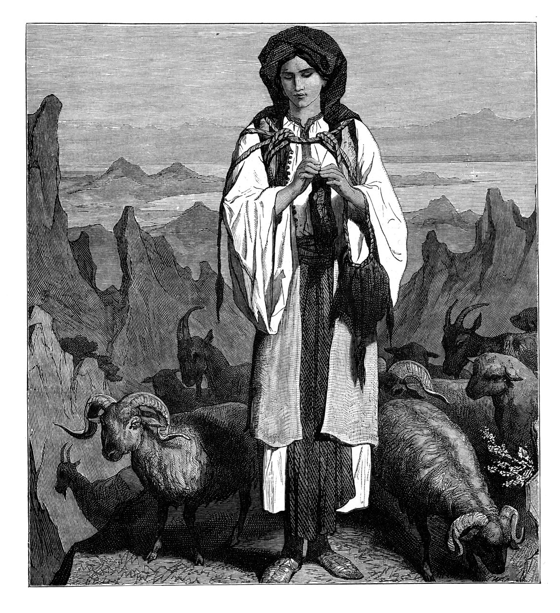 Albanianpaimentar, 1890 tekijältä Unbekannt