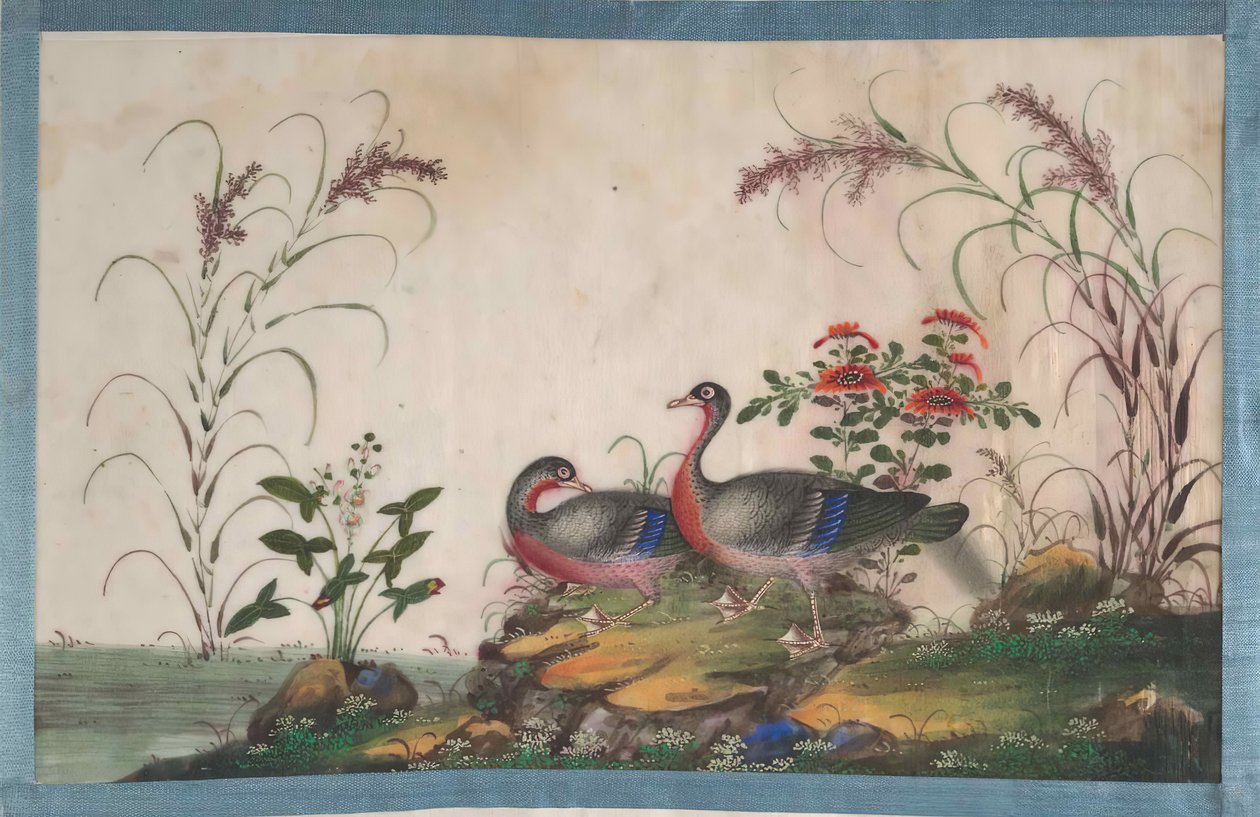 Albumi, joka sisältää kaksitoista lintumaalausta, 1800-luku. tekijältä Unbekannt