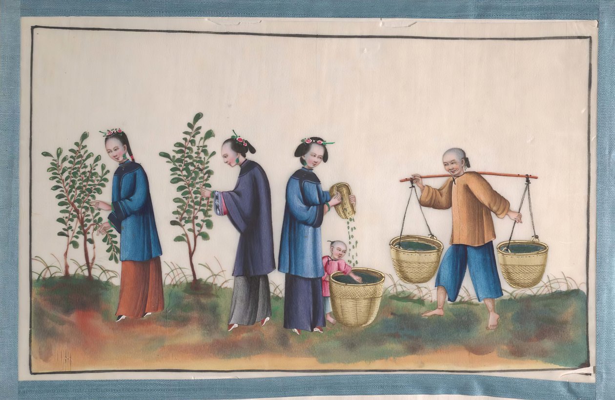 Albumi, joka sisältää kaksitoista maalausta silkkiä tekevistä ihmisistä, 1800-luku. tekijältä Unbekannt