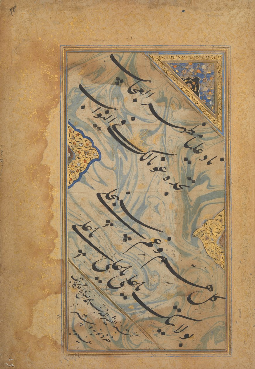 Albumi Leaf Shi