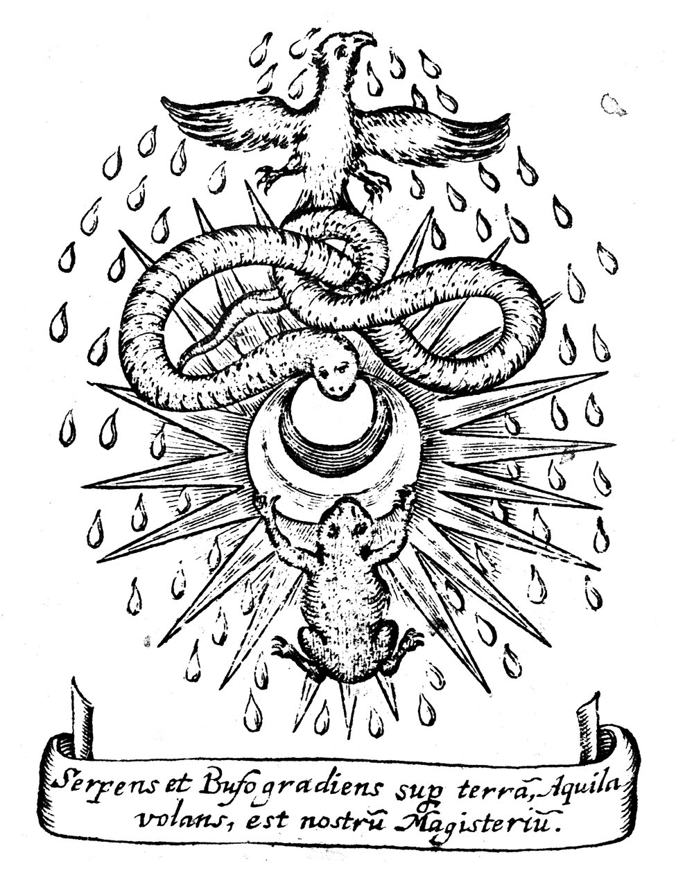 Alkemiallinen symboliikka, 1652 tekijältä Unbekannt