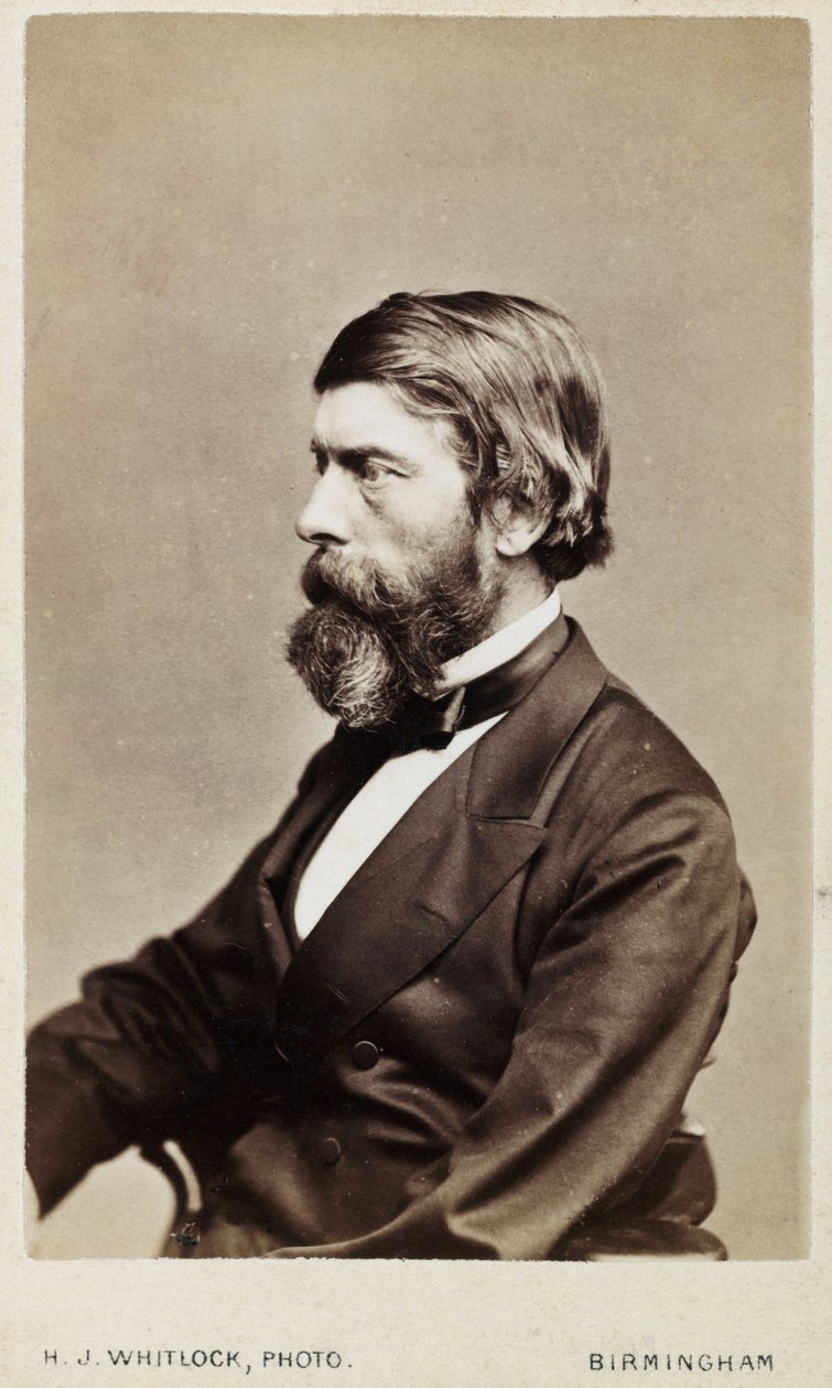Alexander William Williamson, skotlantilainen kemisti, n. 1865 tekijältä Unbekannt