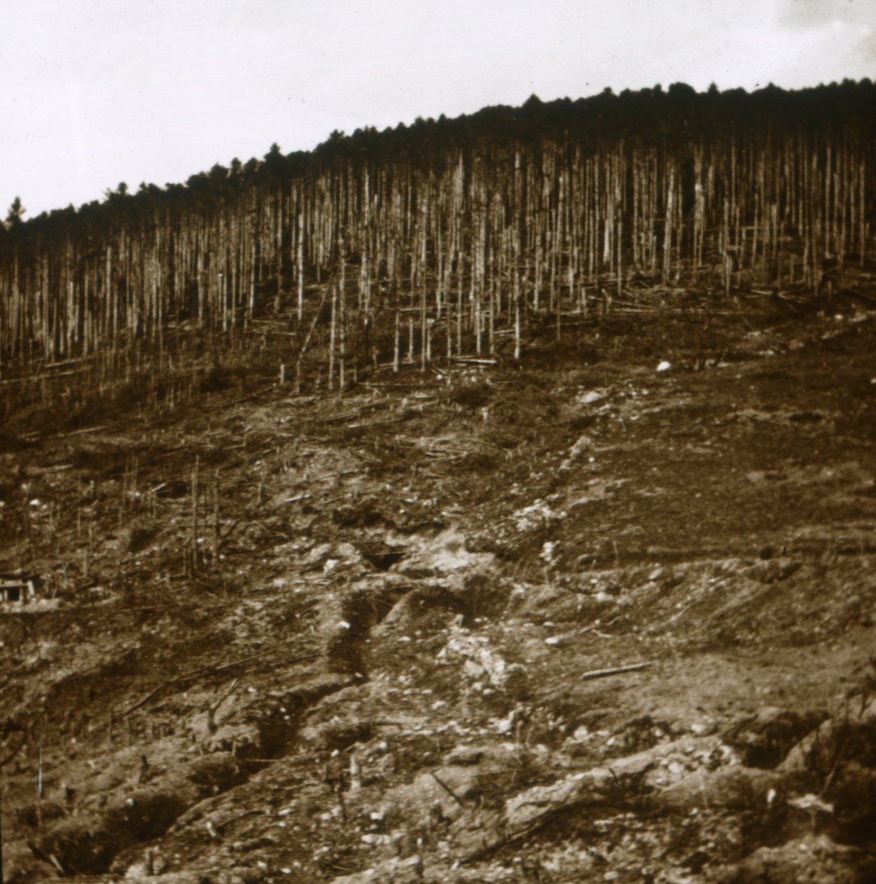 Alsace, c1914-c1918 tekijältä Unbekannt