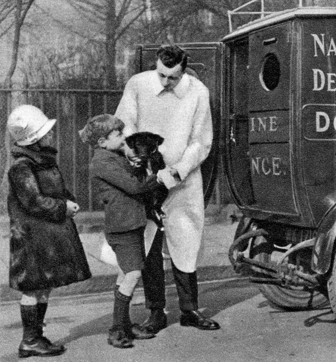 National Canine Defense Leaguen ambulanssi, Lontoo, 1926-1927 tekijältä Unbekannt
