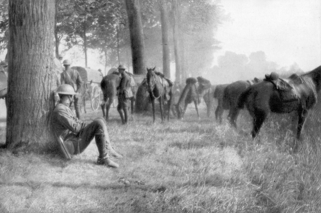 Amerikkalainen ratsuväen yksikkö levossa, Chemin des Dames, Ranska, 1918 tekijältä Unbekannt
