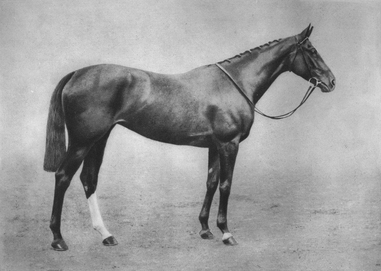 Amerikkalainen tyttö, 1911 tekijältä Unbekannt