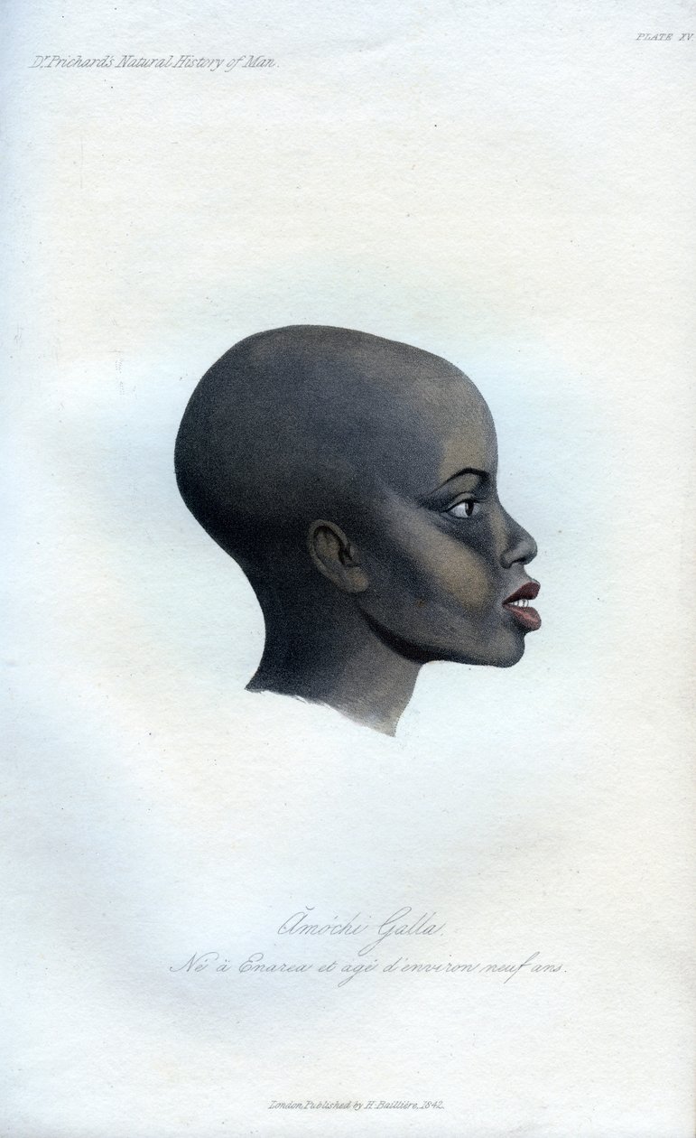 Amochi Galla, muotokuva Gallasta, 1848 tekijältä Unbekannt