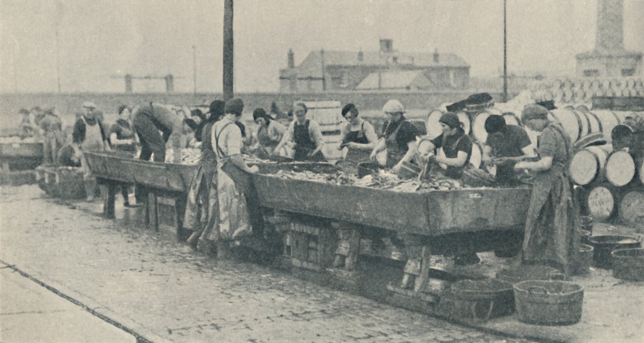 Tärkeä osa alaa. Skotlantilaiset tytöt perkamassa Yarmouthissa vuonna 1937 tekijältä Unbekannt
