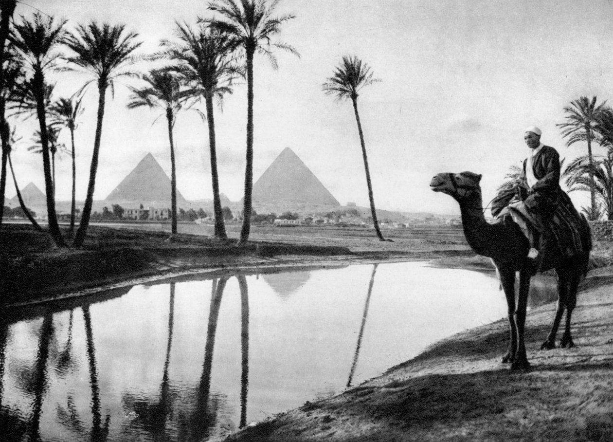 Keidas lähellä Kairoa, Egypti, 1920-luku tekijältä Unbekannt