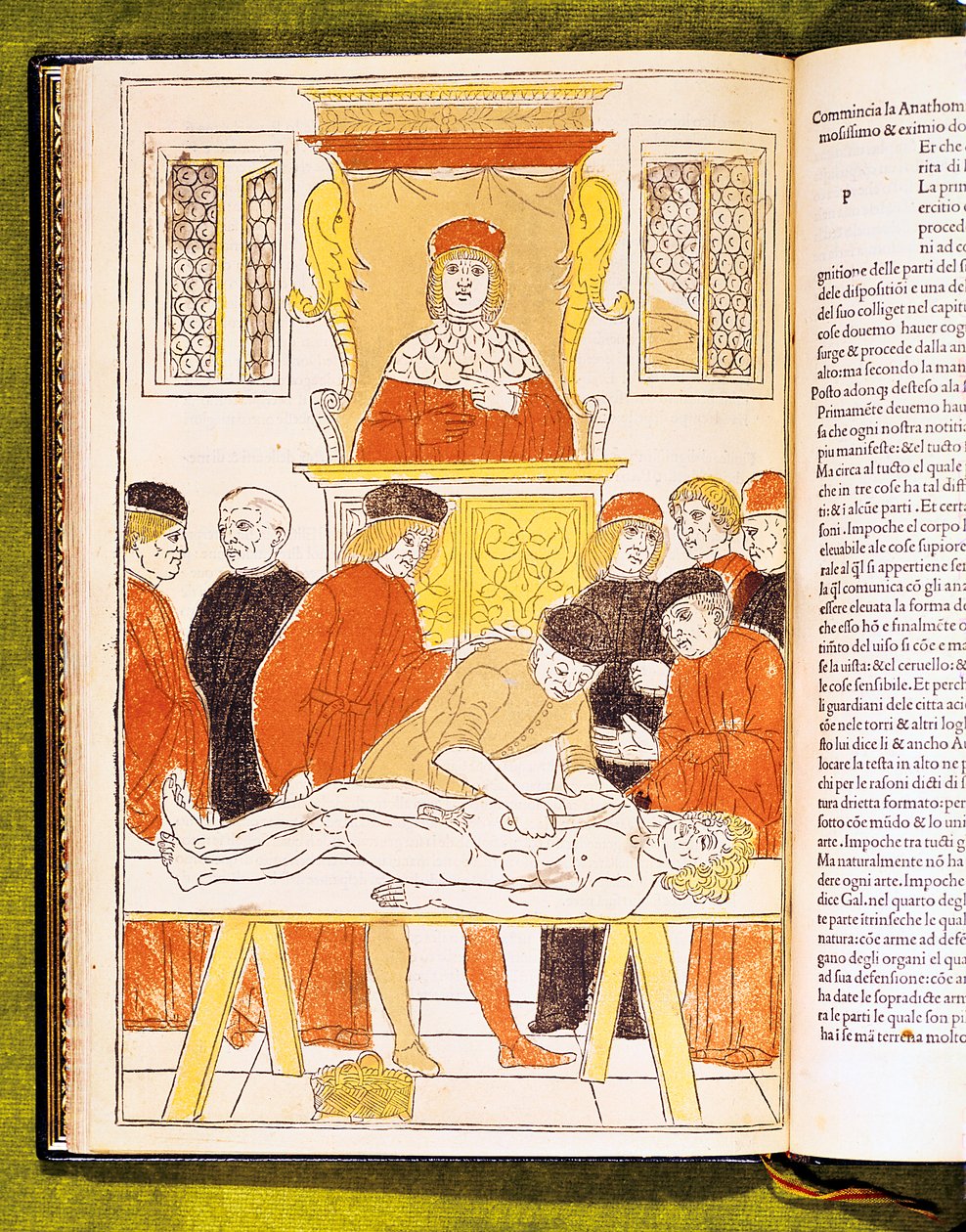 Anatomian luento Padovassa, Italiassa, 1483 tekijältä Unbekannt