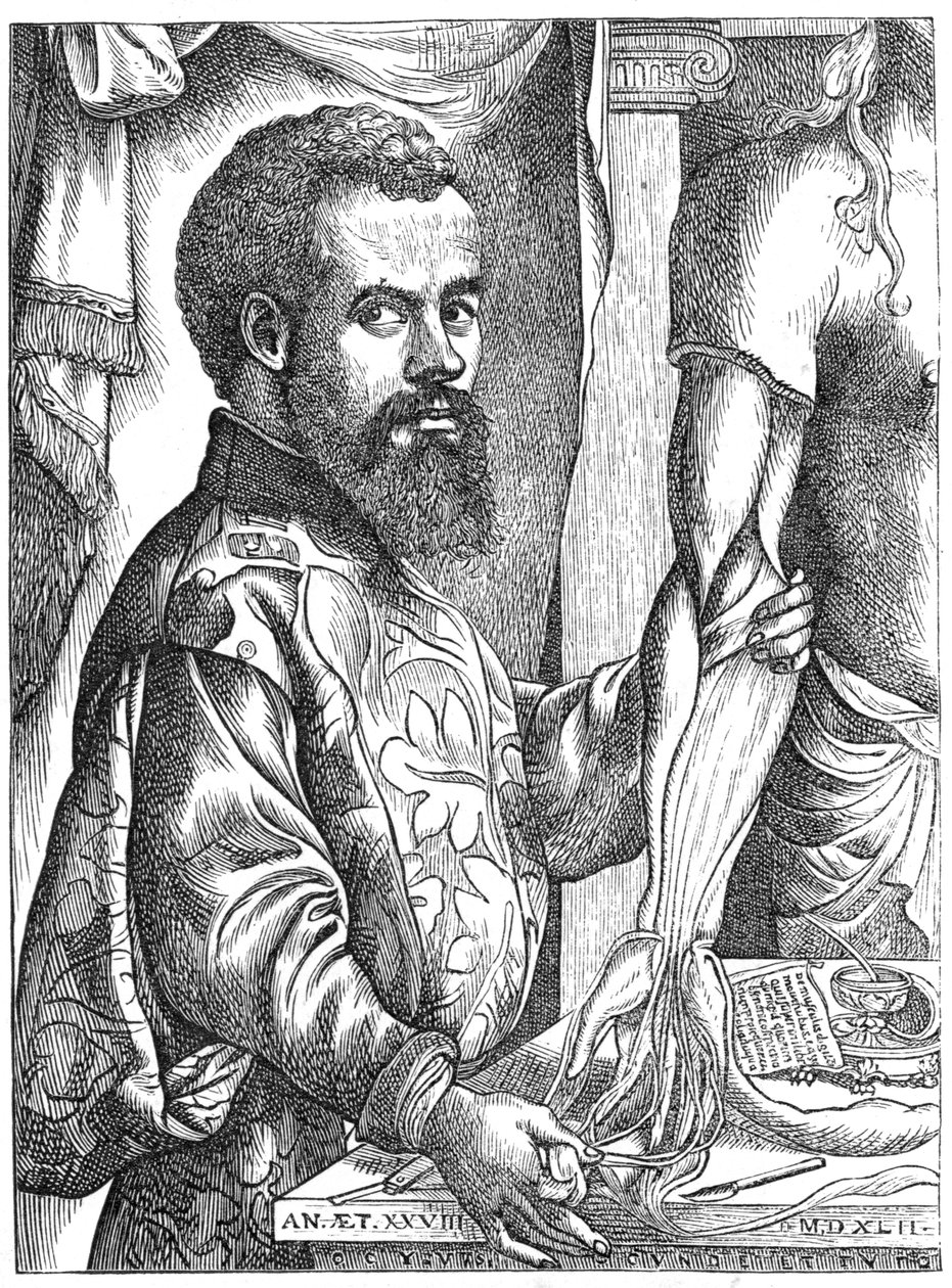 Andreas Vesalius, 1500-luvun flaamilainen anatomi tekijältä Unbekannt