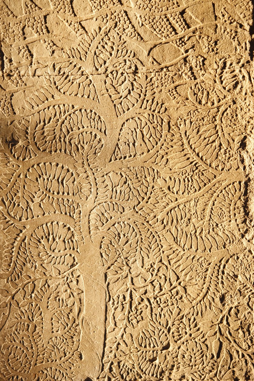 Angkor Wat, veistetty yksityiskohta WallTreessä, Siem Reap, Kambodža tekijältä Unbekannt