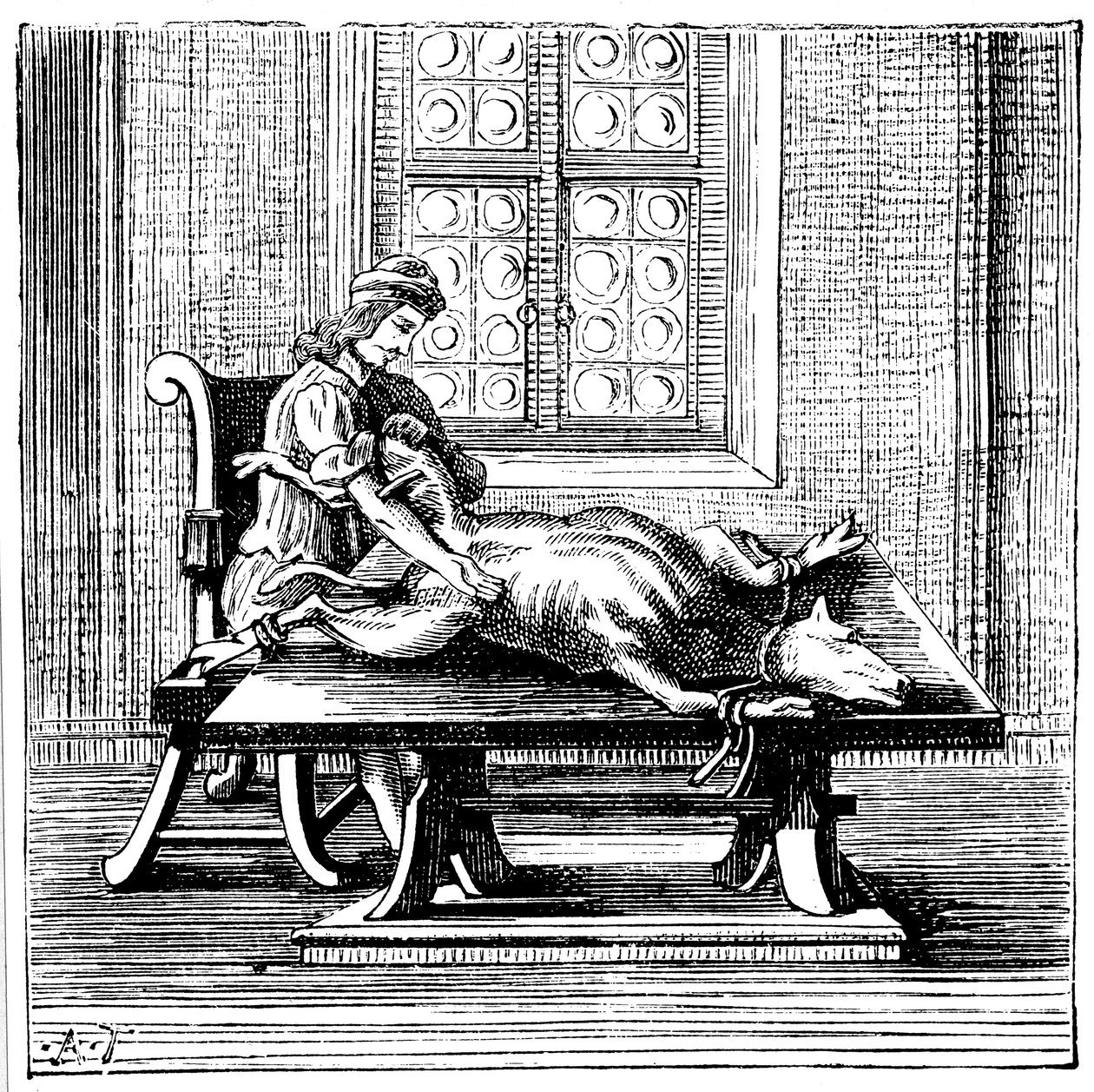 Verensiirto eläimestä ihmiseen, 1679 tekijältä Unbekannt