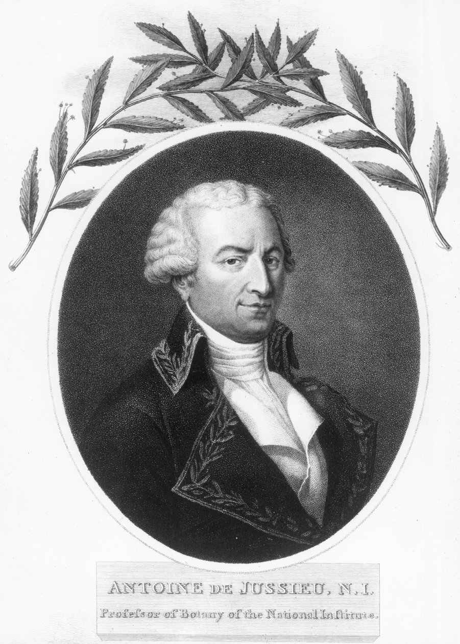 Antoine de Jussieu, 1700-luvun ranskalainen kasvitieteilijä, 1807 tekijältä Unbekannt