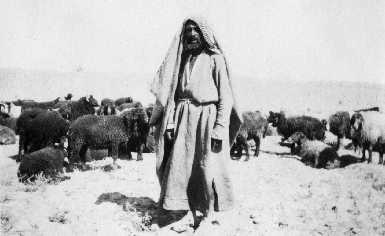 Arabipaimen, Kazimainin alue, Irak, 1917-1919 tekijältä Unbekannt