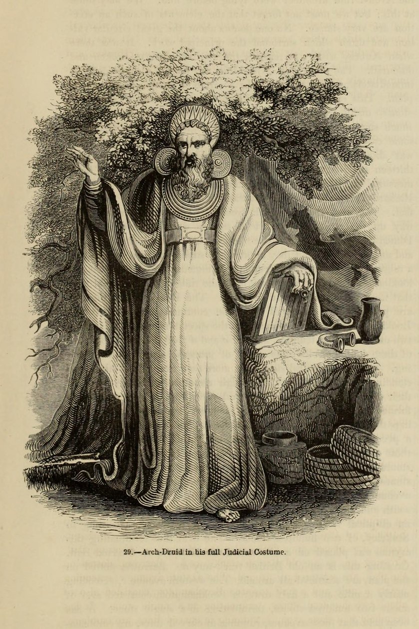 Arch-Druid täydessä oikeusasussaan Kirjasta Old England: A Pictorial Museum, 1845 tekijältä Unbekannt