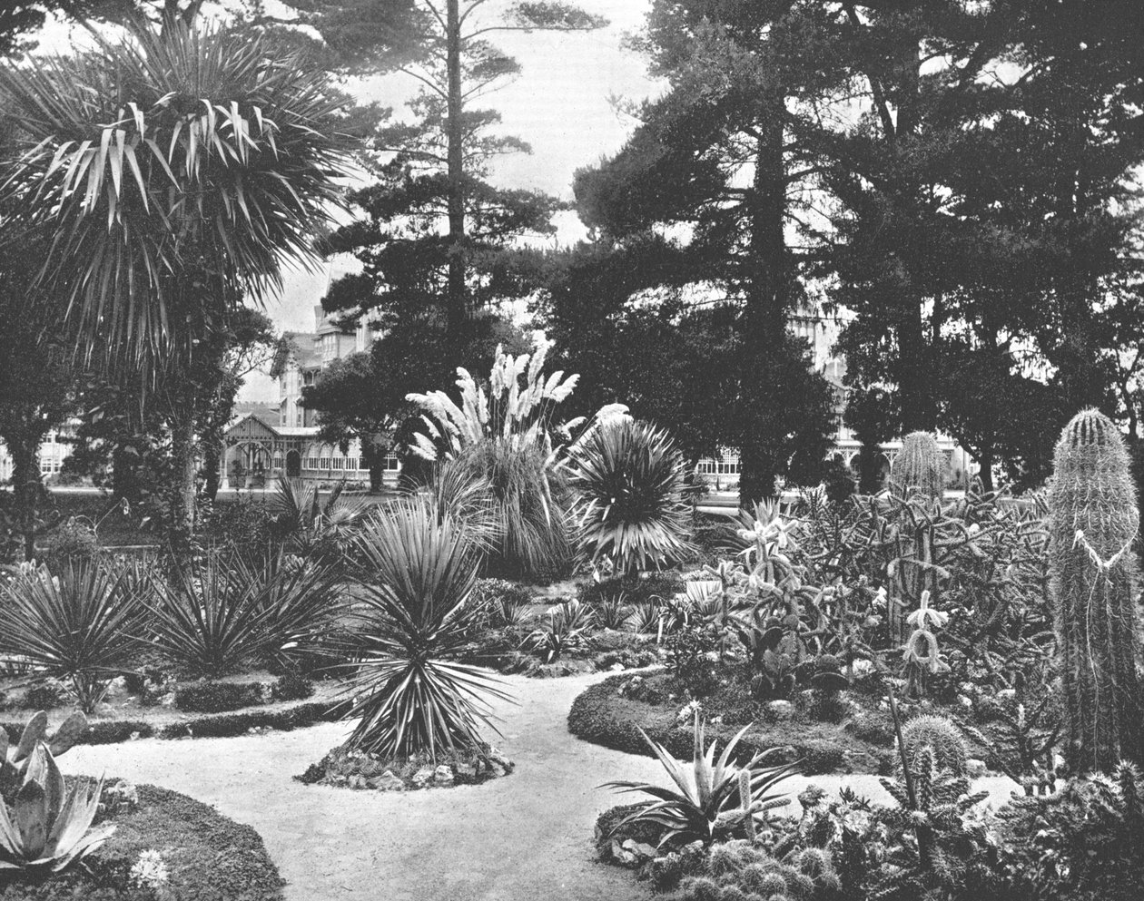 Arizona Garden, Monterey, Kalifornia, Yhdysvallat, c1900. tekijältä Unbekannt