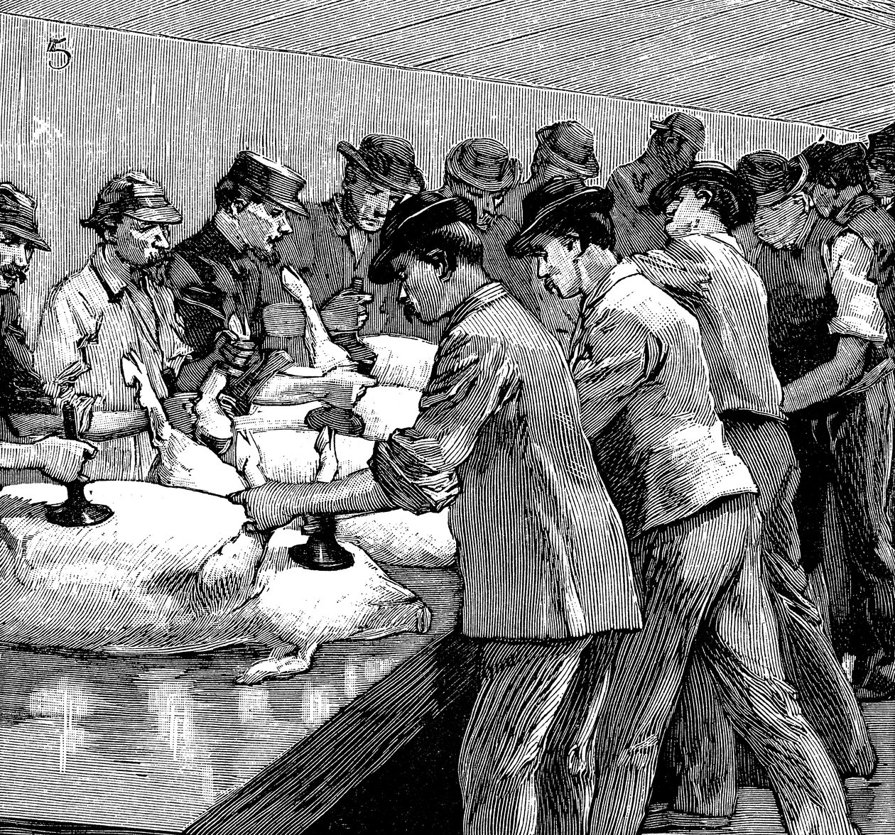 Armor Companyn sikateurastamo, Chicago, Illinois, USA, 1892 tekijältä Unbekannt