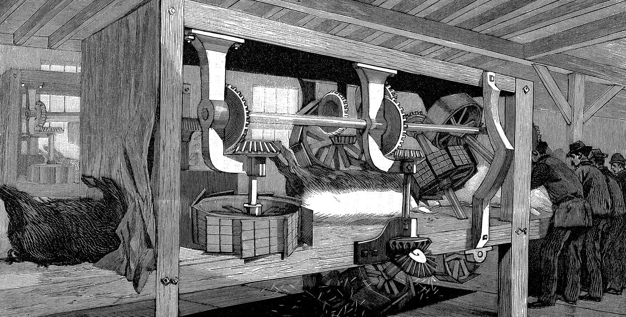 Armor Companyn sikateurastamo, Chicago, Illinois, USA, 1892 tekijältä Unbekannt