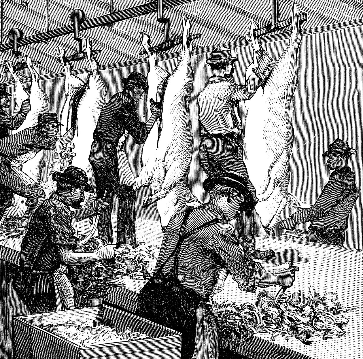 Armor Companyn sikateurastamo, Chicago, Illinois, USA, 1892 tekijältä Unbekannt
