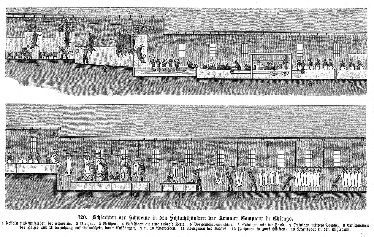 Armor Companyn sikateurastamo, Chicago, Illinois, USA, 1895 tekijältä Unbekannt