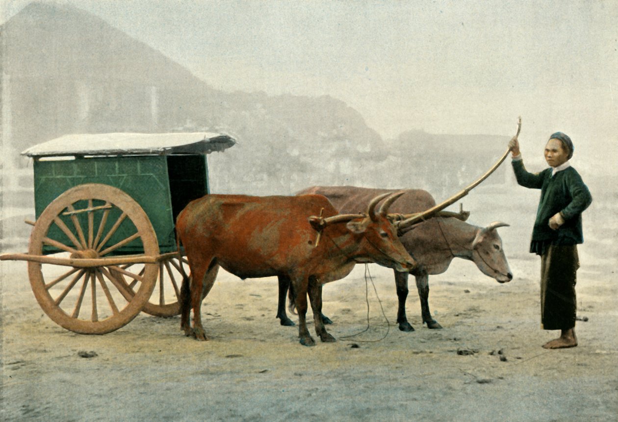 Annamite vetokoukku, Annamite Yoke, 1900. tekijältä Unbekannt
