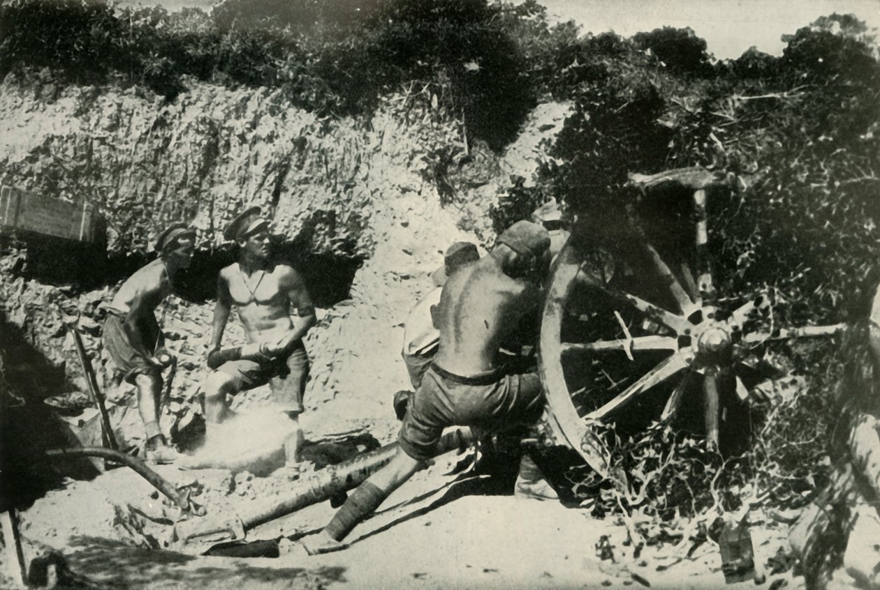 Australian Gunners Gallipolin niemimaalla, 1919. tekijältä Unbekannt
