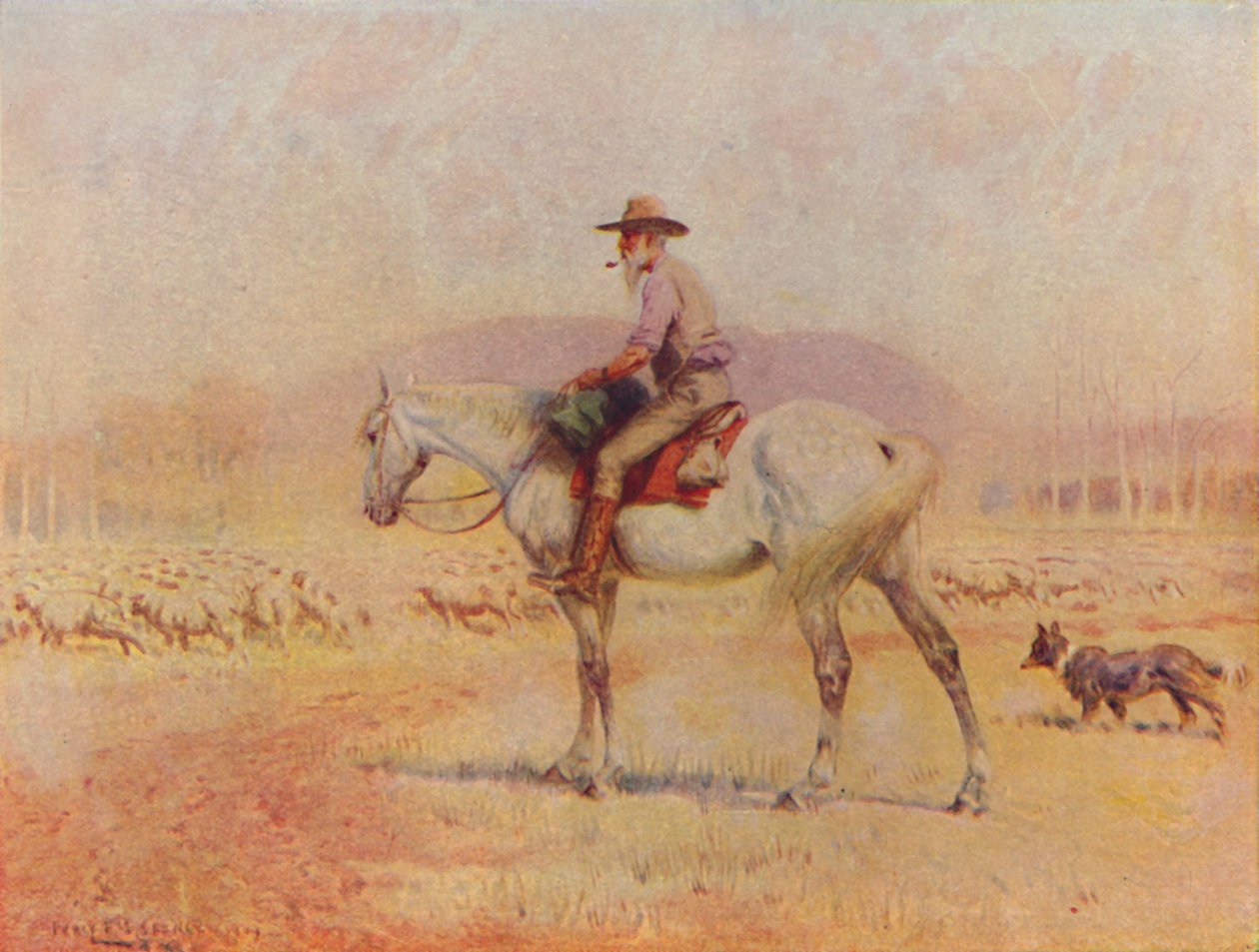 Australian lampaankasvattaja, 1924 tekijältä Unbekannt